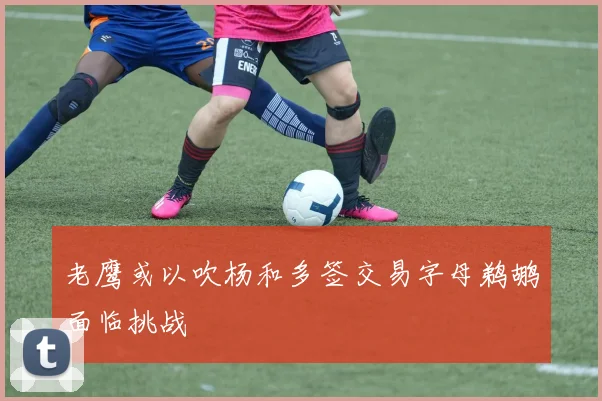 老鹰或以吹杨和多签交易字母鹈鹕面临挑战
