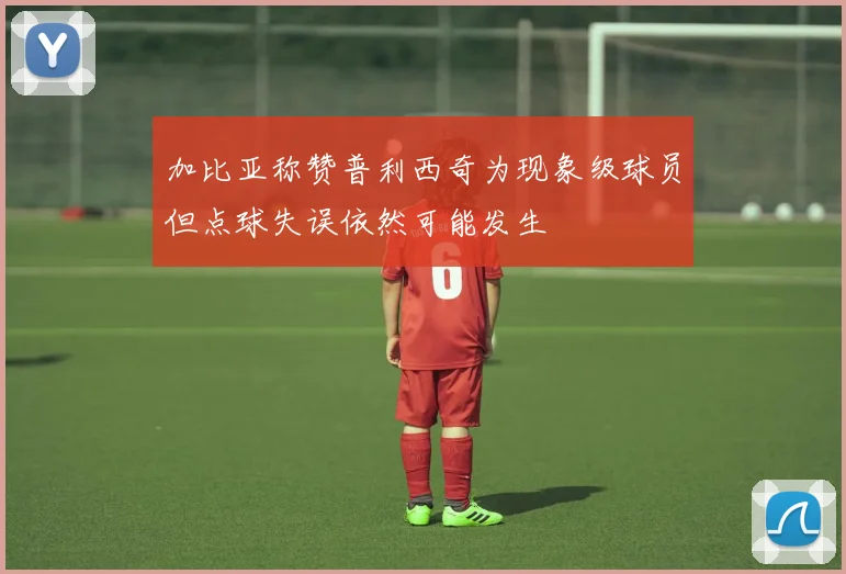 加比亚称赞普利西奇为现象级球员但点球失误依然可能发生